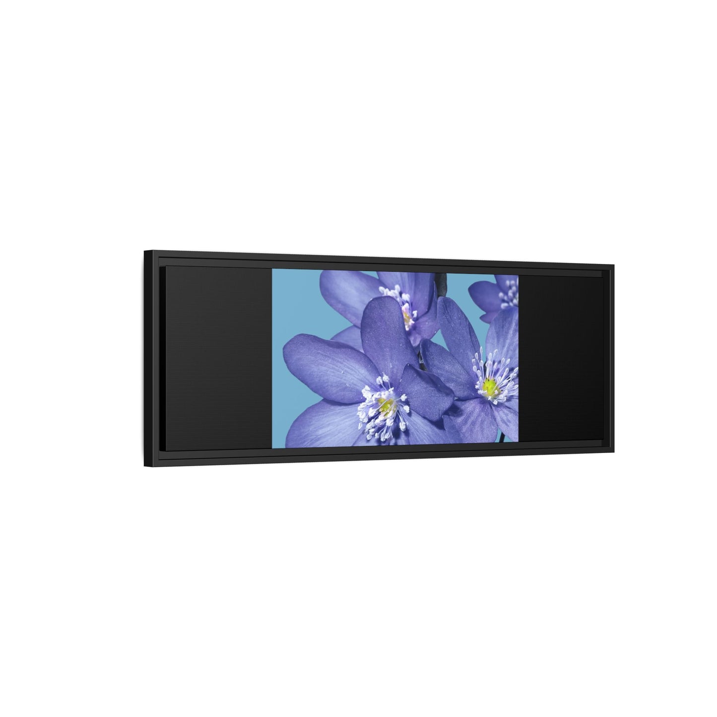 Framed Floral Canvas Art - Vibrant Blue Flower Decor
