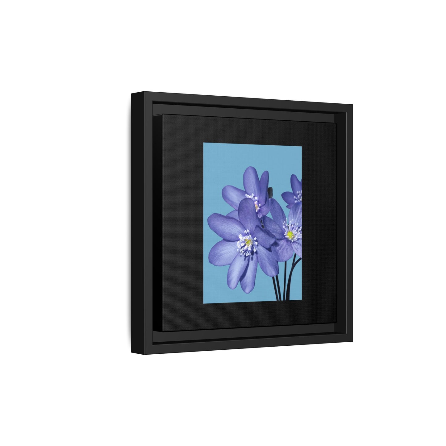 Framed Floral Canvas Art - Vibrant Blue Flower Decor