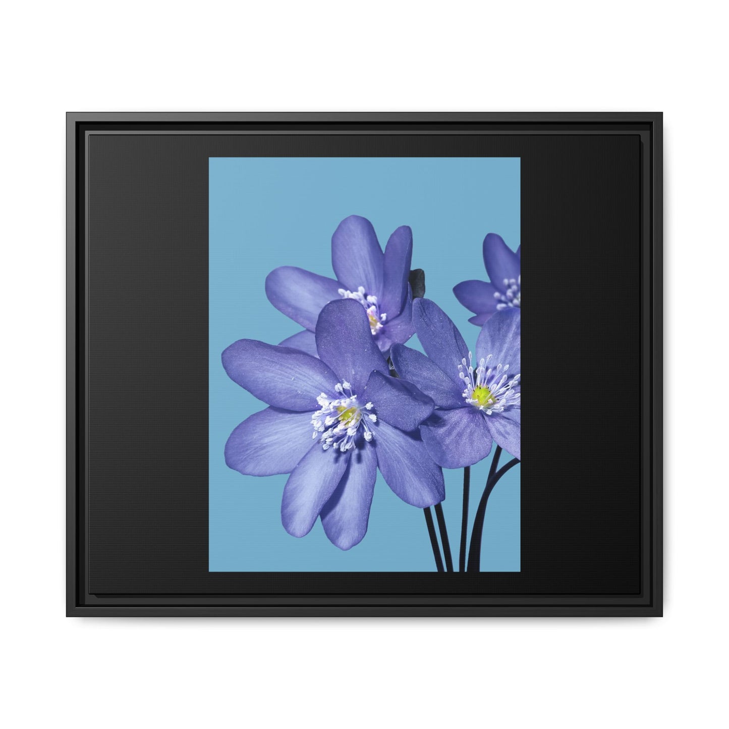 Framed Floral Canvas Art - Vibrant Blue Flower Decor