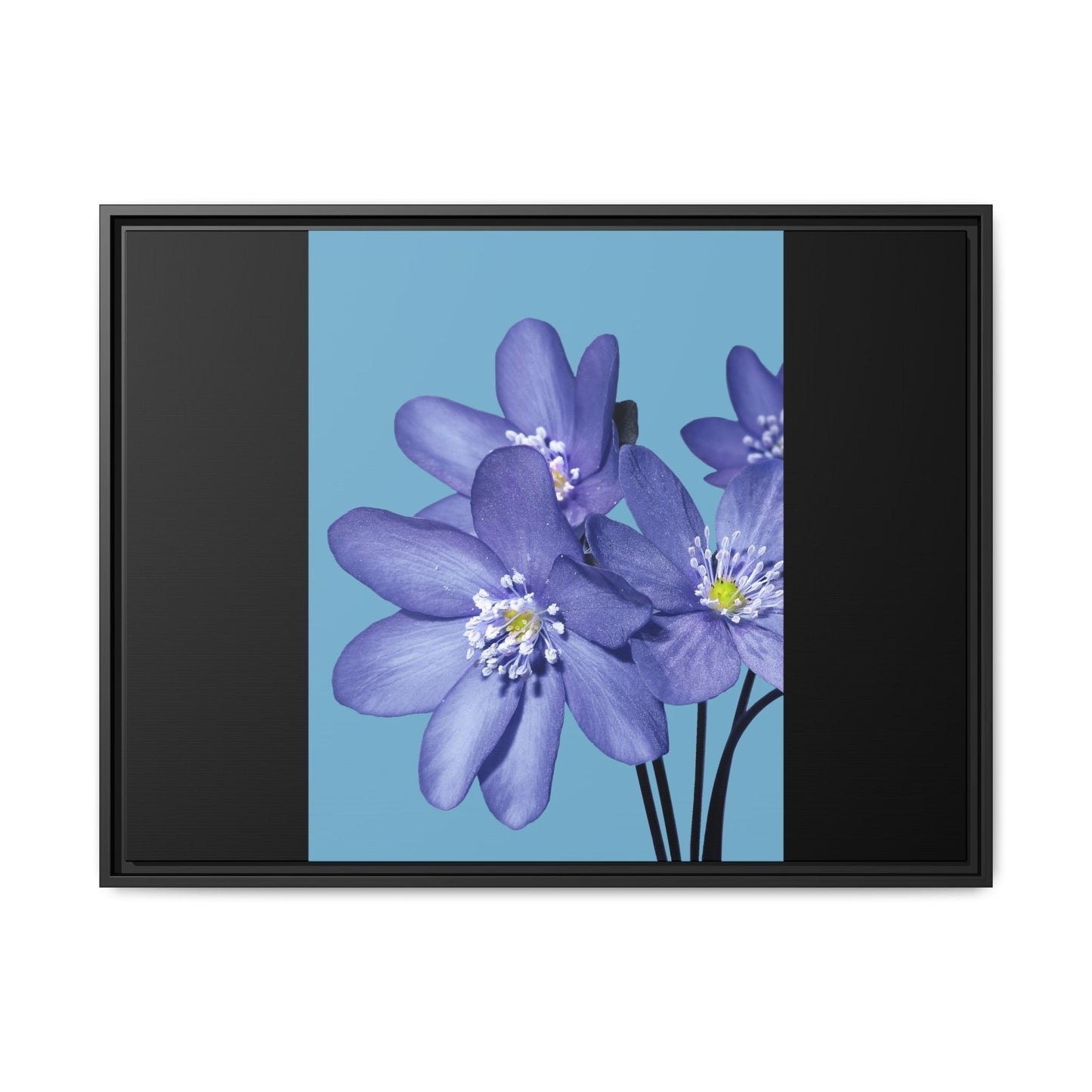 Framed Floral Canvas Art - Vibrant Blue Flower Decor