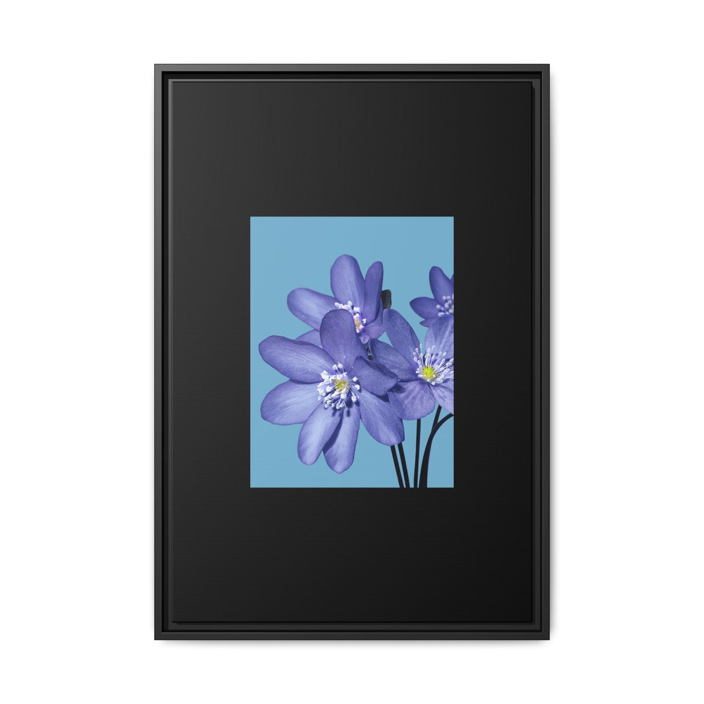 Framed Floral Canvas Art - Vibrant Blue Flower Decor