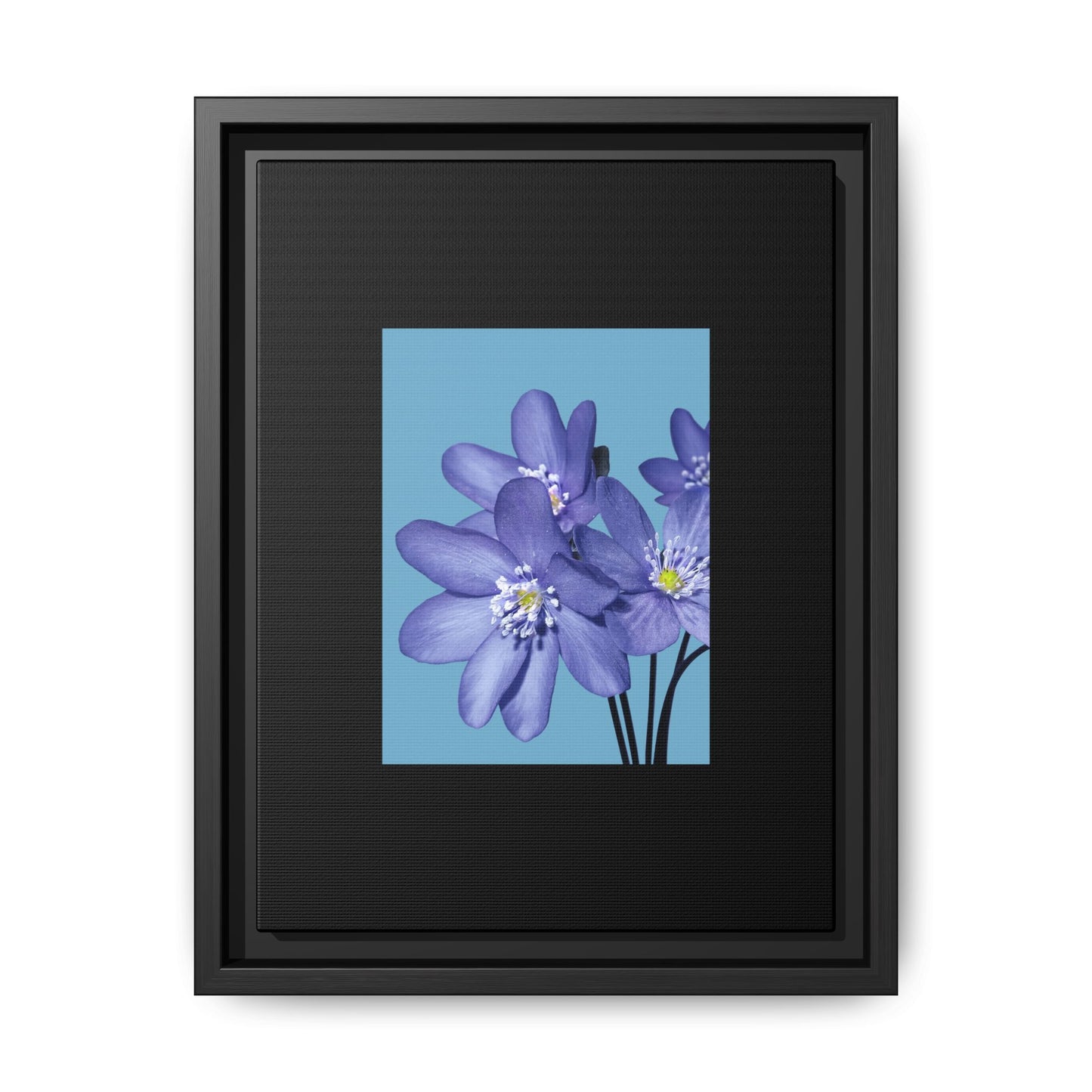 Framed Floral Canvas Art - Vibrant Blue Flower Decor