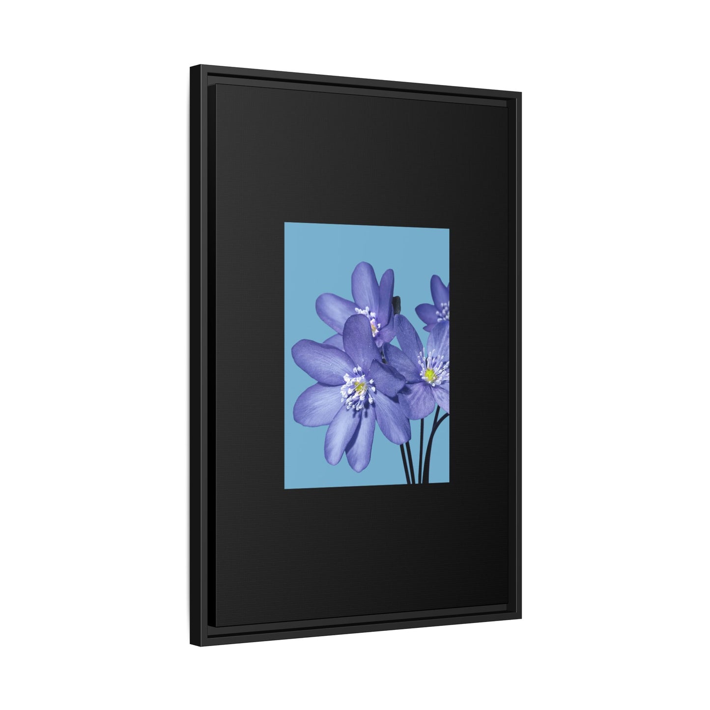 Framed Floral Canvas Art - Vibrant Blue Flower Decor