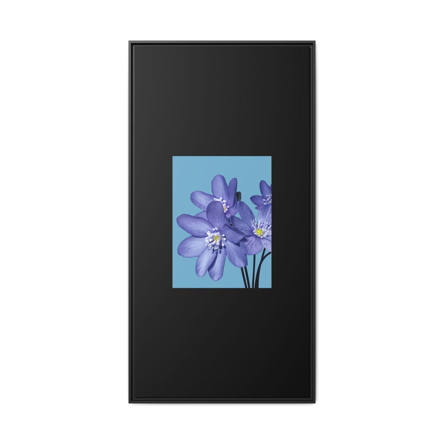 Framed Floral Canvas Art - Vibrant Blue Flower Decor