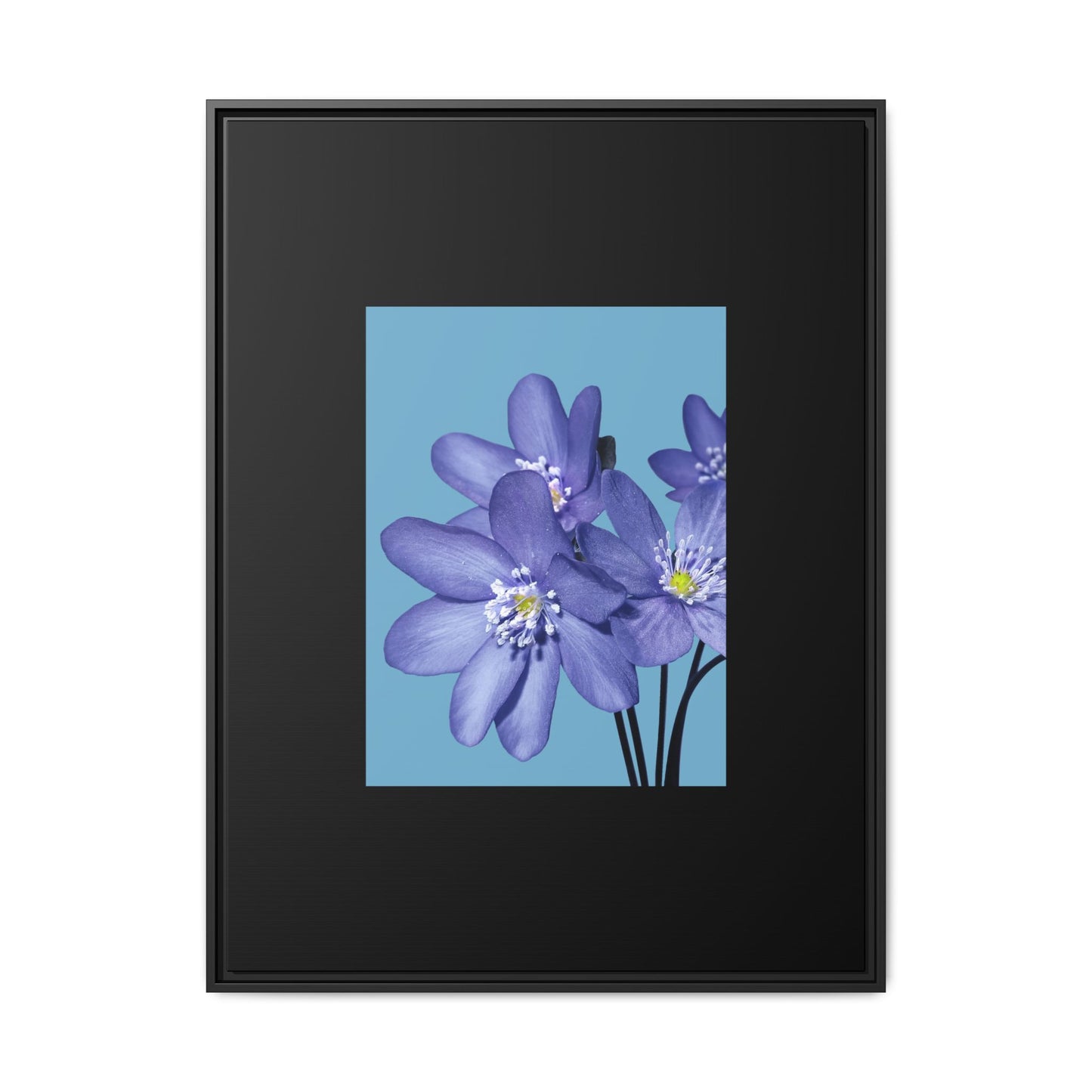 Framed Floral Canvas Art - Vibrant Blue Flower Decor