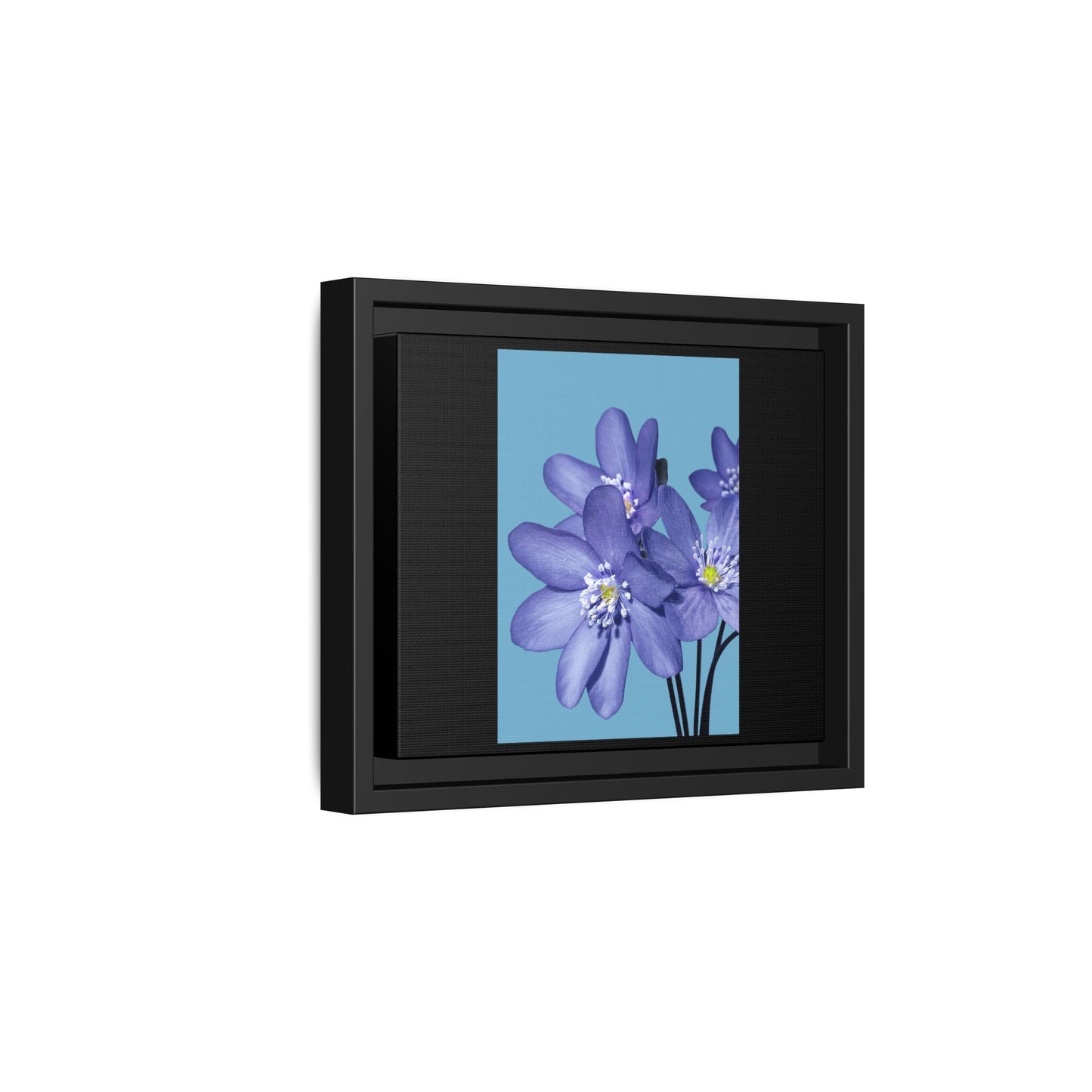 Framed Floral Canvas Art - Vibrant Blue Flower Decor