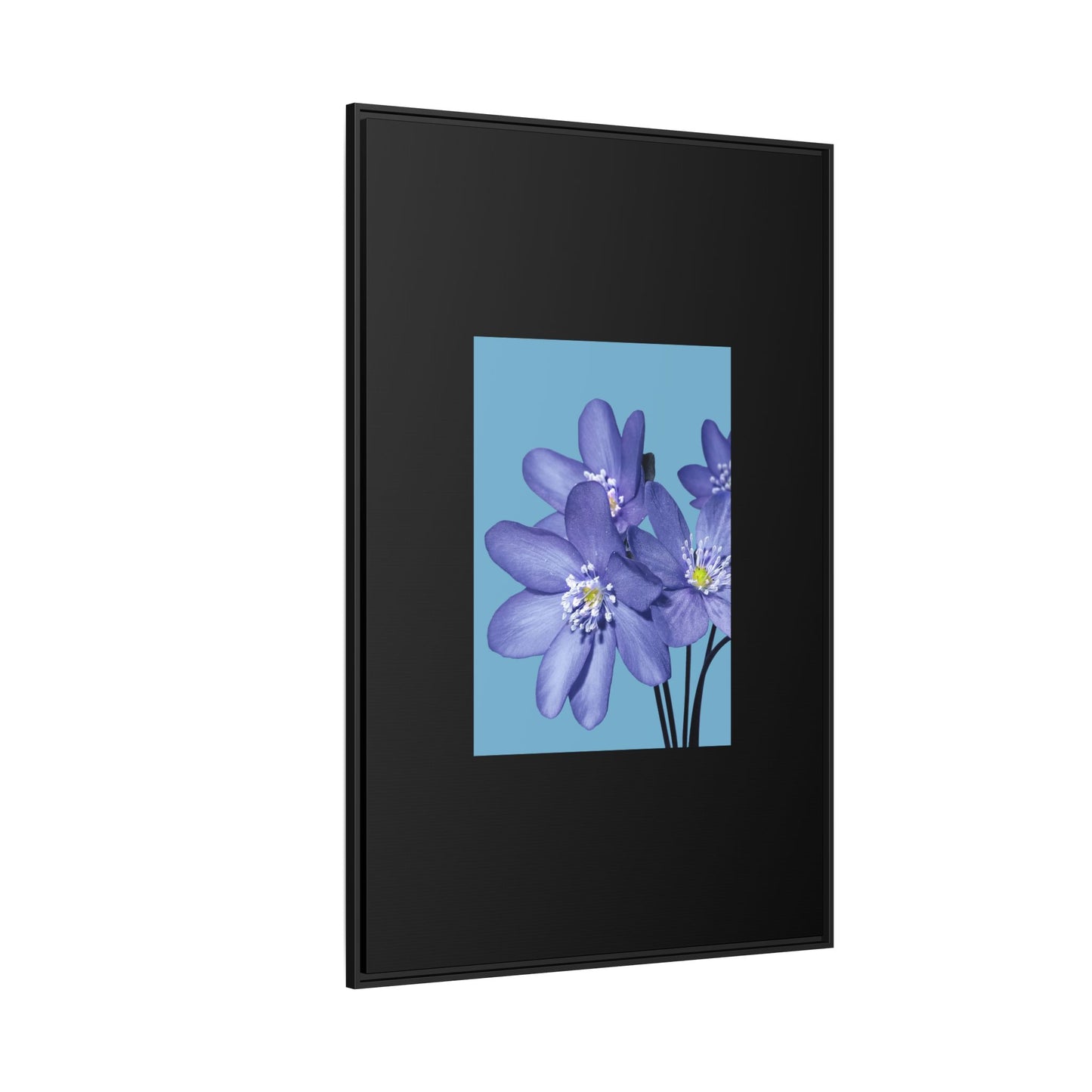 Framed Floral Canvas Art - Vibrant Blue Flower Decor