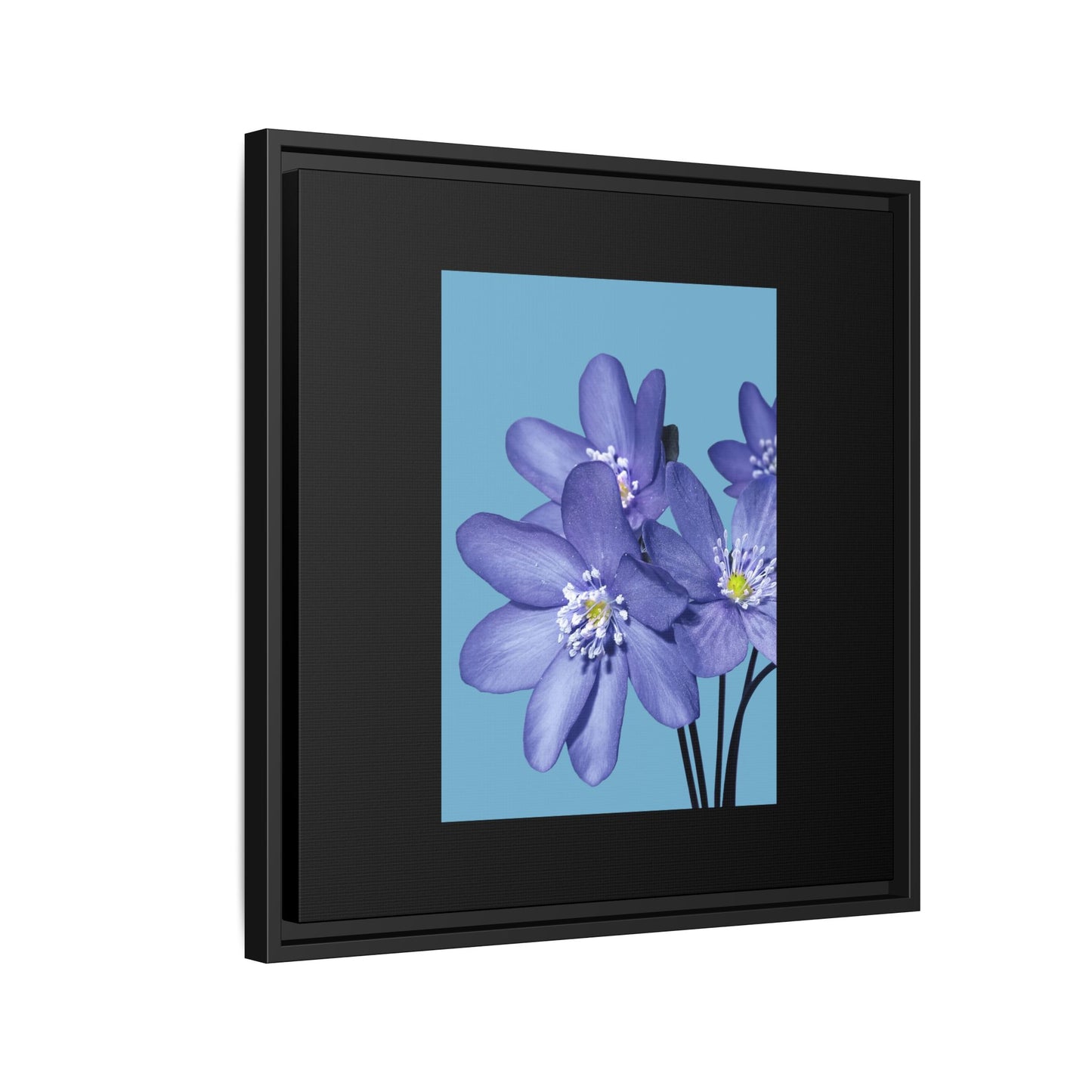 Framed Floral Canvas Art - Vibrant Blue Flower Decor