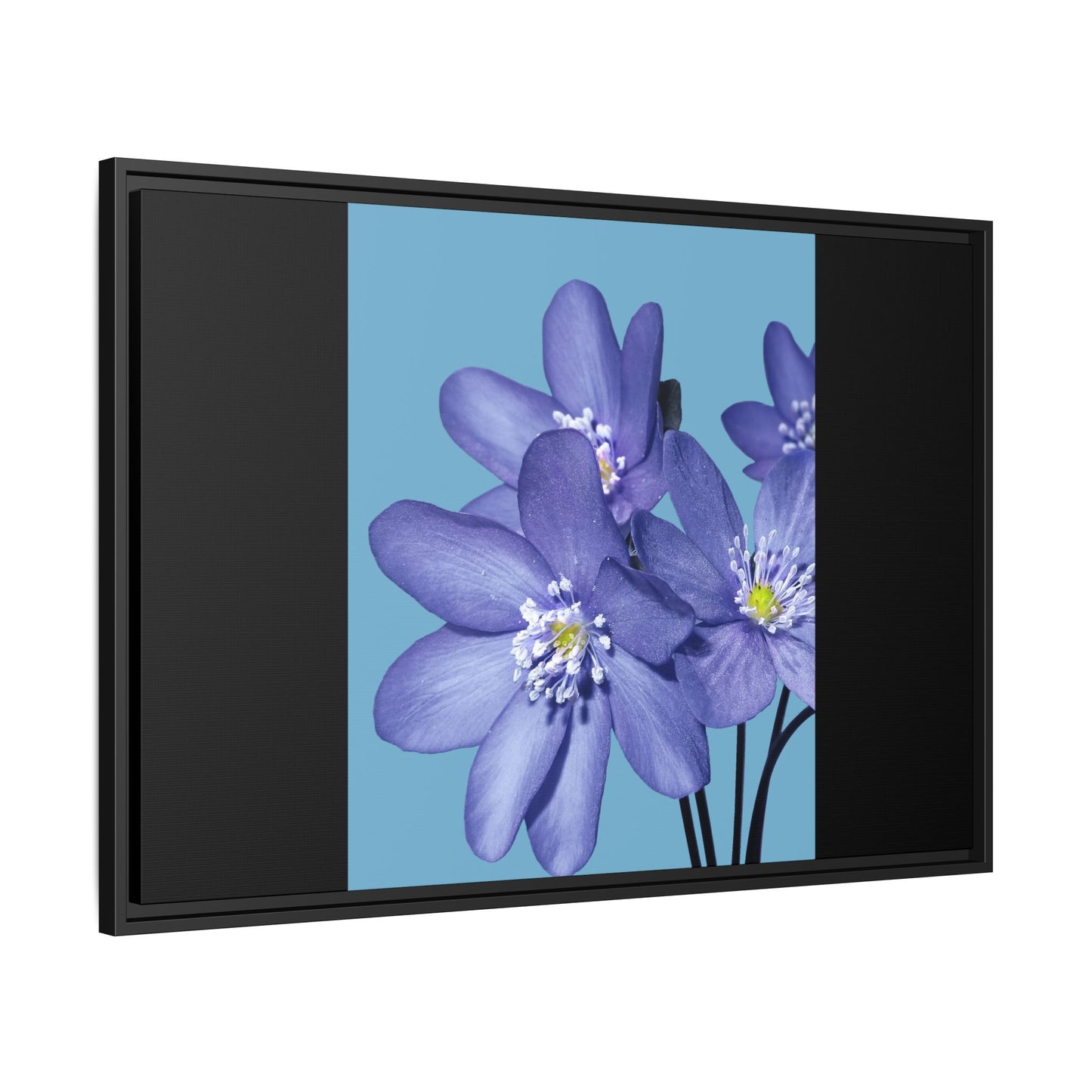 Framed Floral Canvas Art - Vibrant Blue Flower Decor