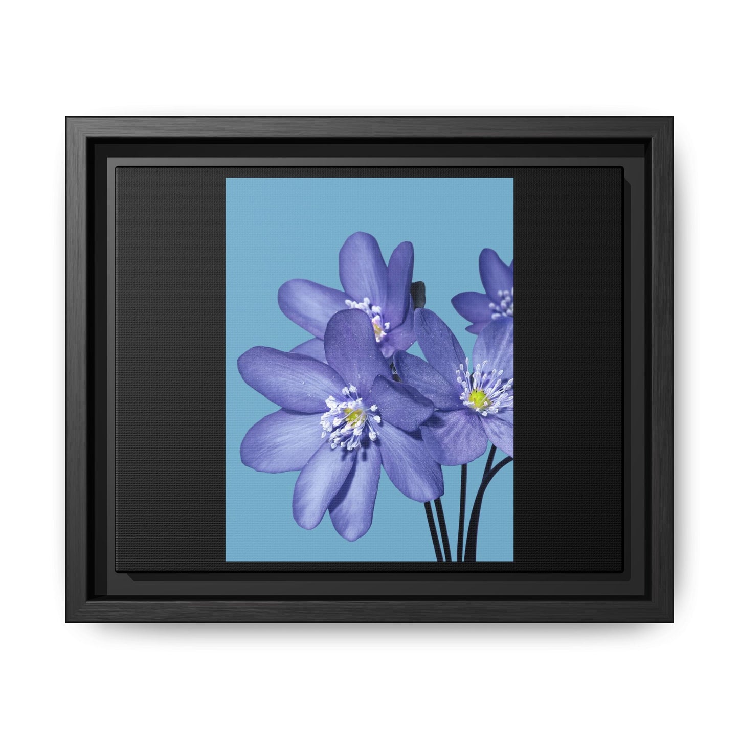 Framed Floral Canvas Art - Vibrant Blue Flower Decor