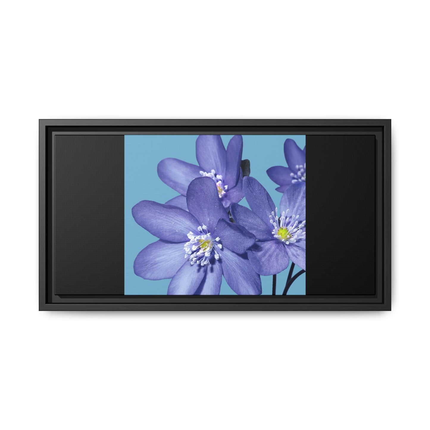 Framed Floral Canvas Art - Vibrant Blue Flower Decor