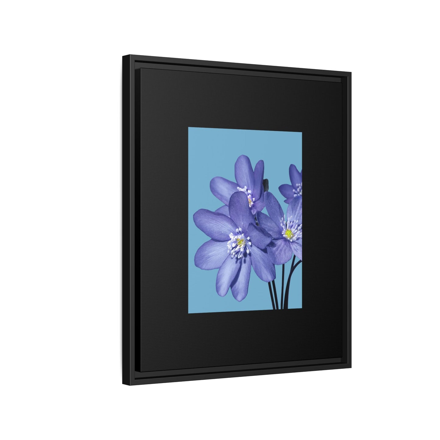 Framed Floral Canvas Art - Vibrant Blue Flower Decor