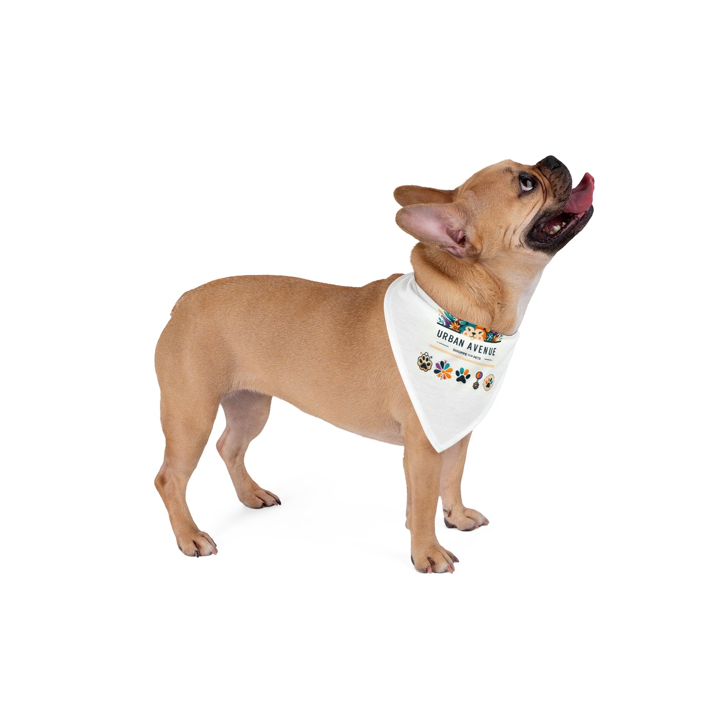 Pet Bandana - Whimsical Fun Pride and Uniqueness Design