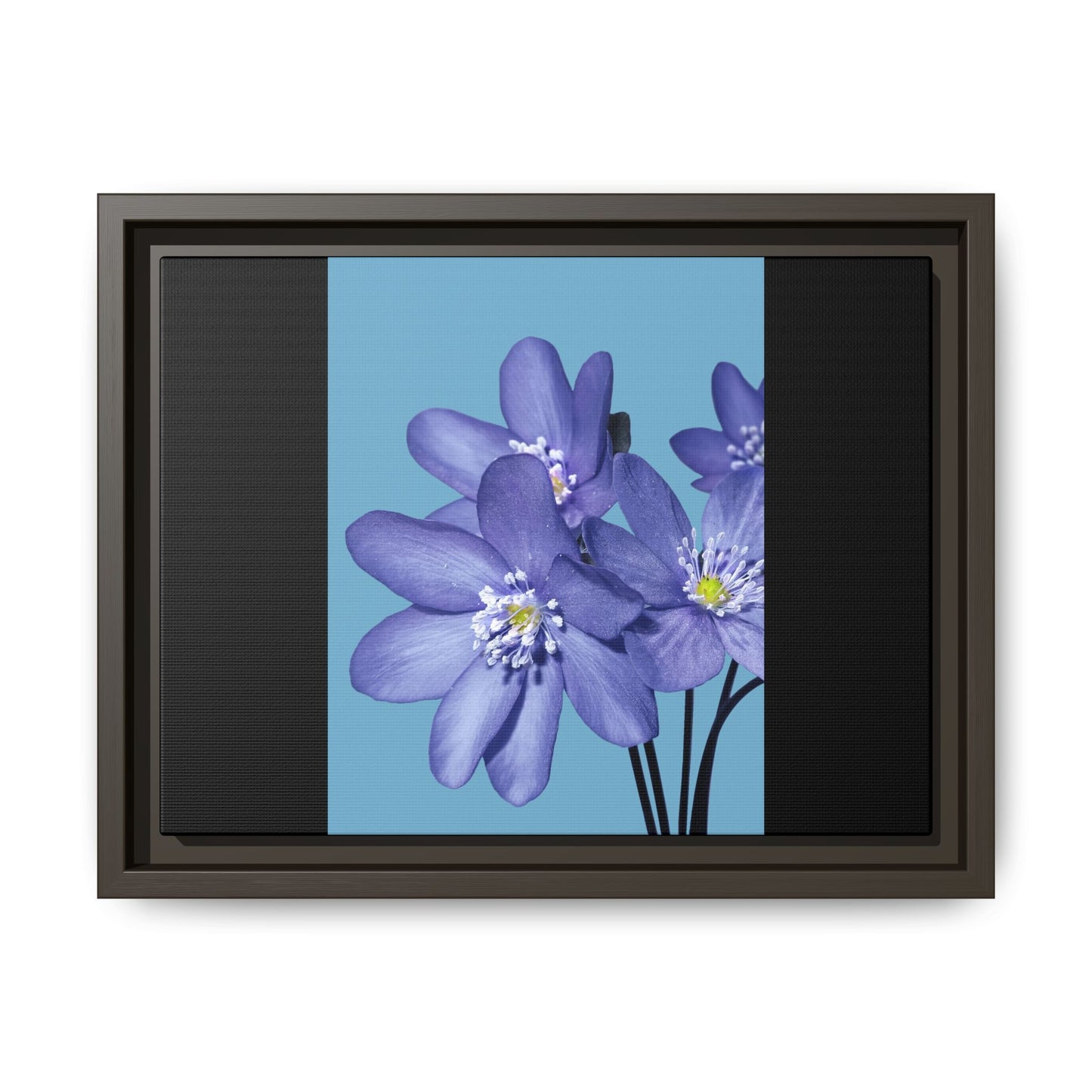 Framed Floral Canvas Art - Vibrant Blue Flower Decor
