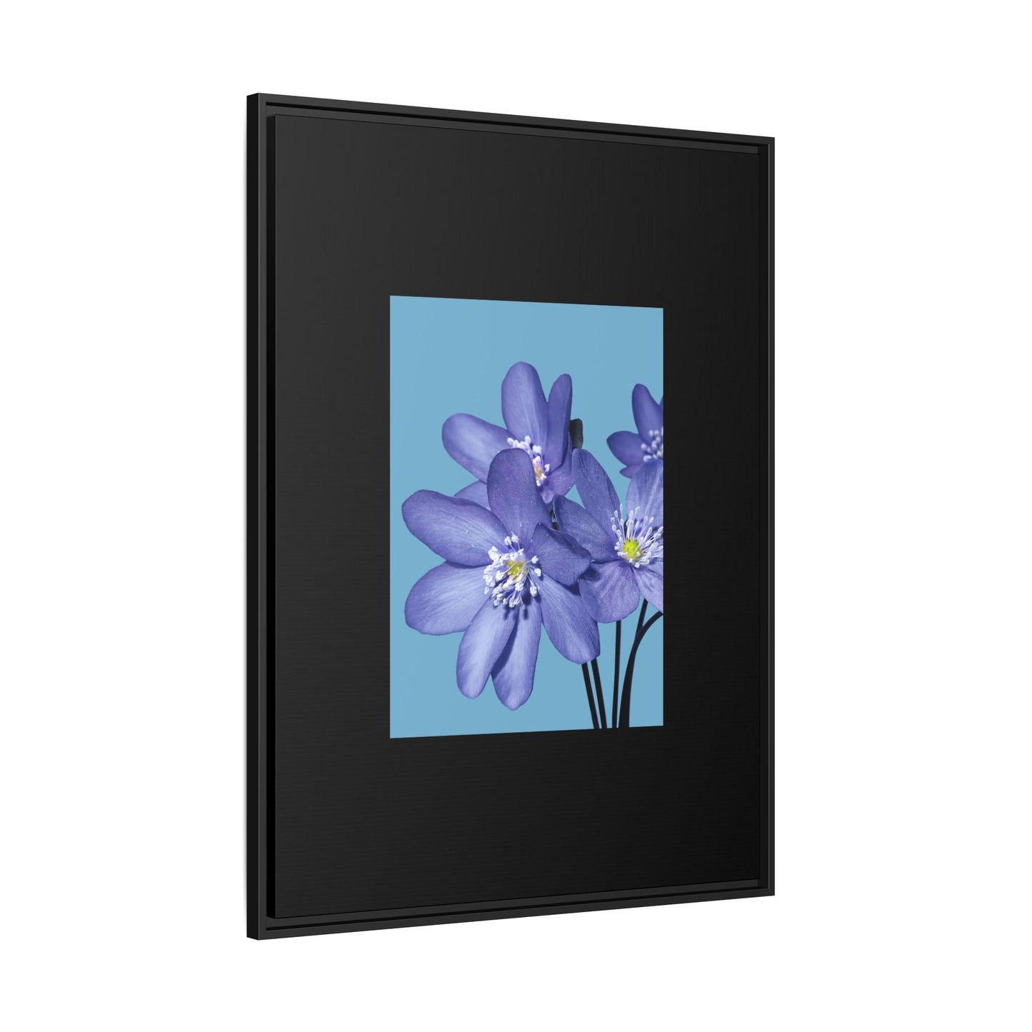 Framed Floral Canvas Art - Vibrant Blue Flower Decor