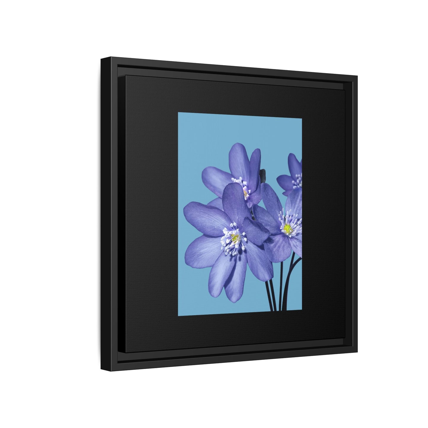 Framed Floral Canvas Art - Vibrant Blue Flower Decor