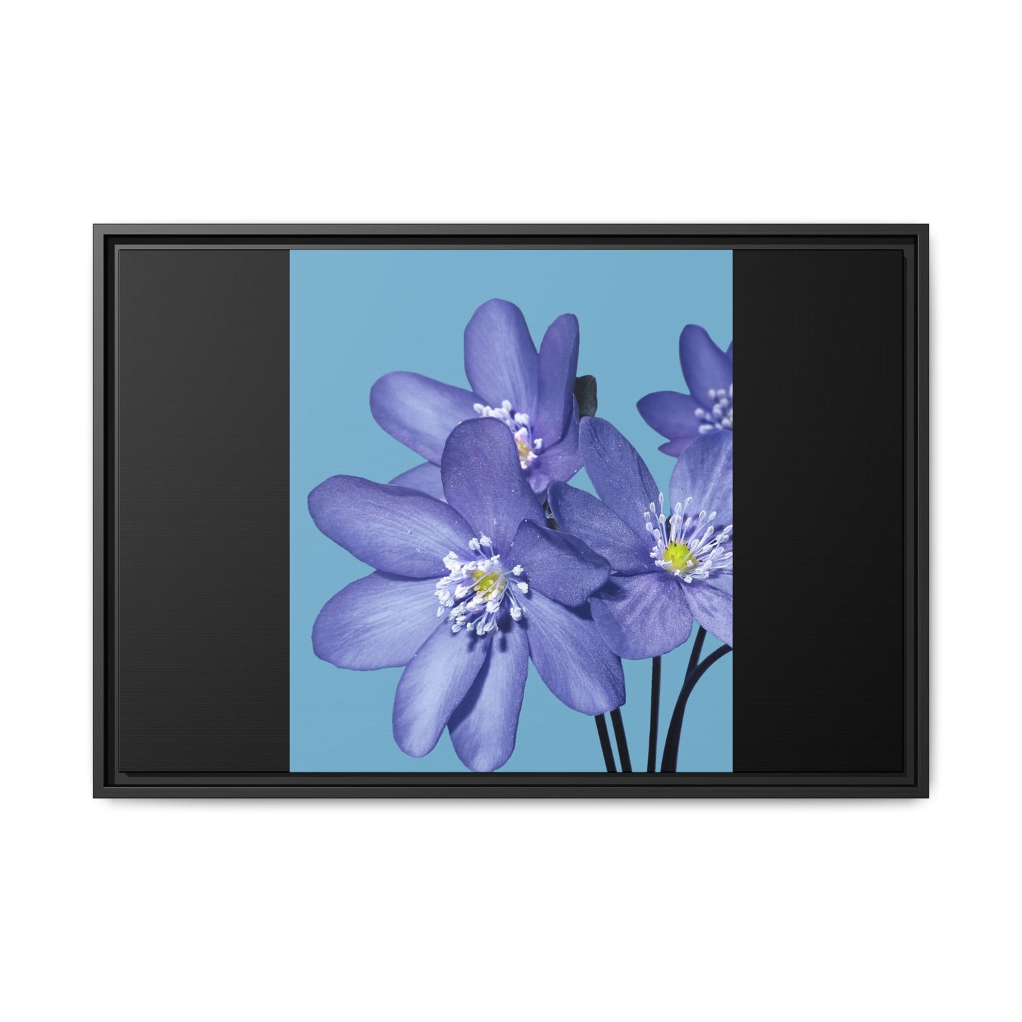Framed Floral Canvas Art - Vibrant Blue Flower Decor