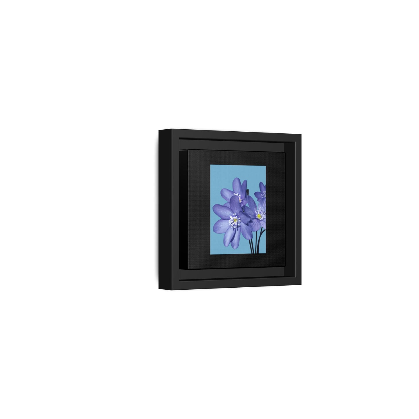 Framed Floral Canvas Art - Vibrant Blue Flower Decor