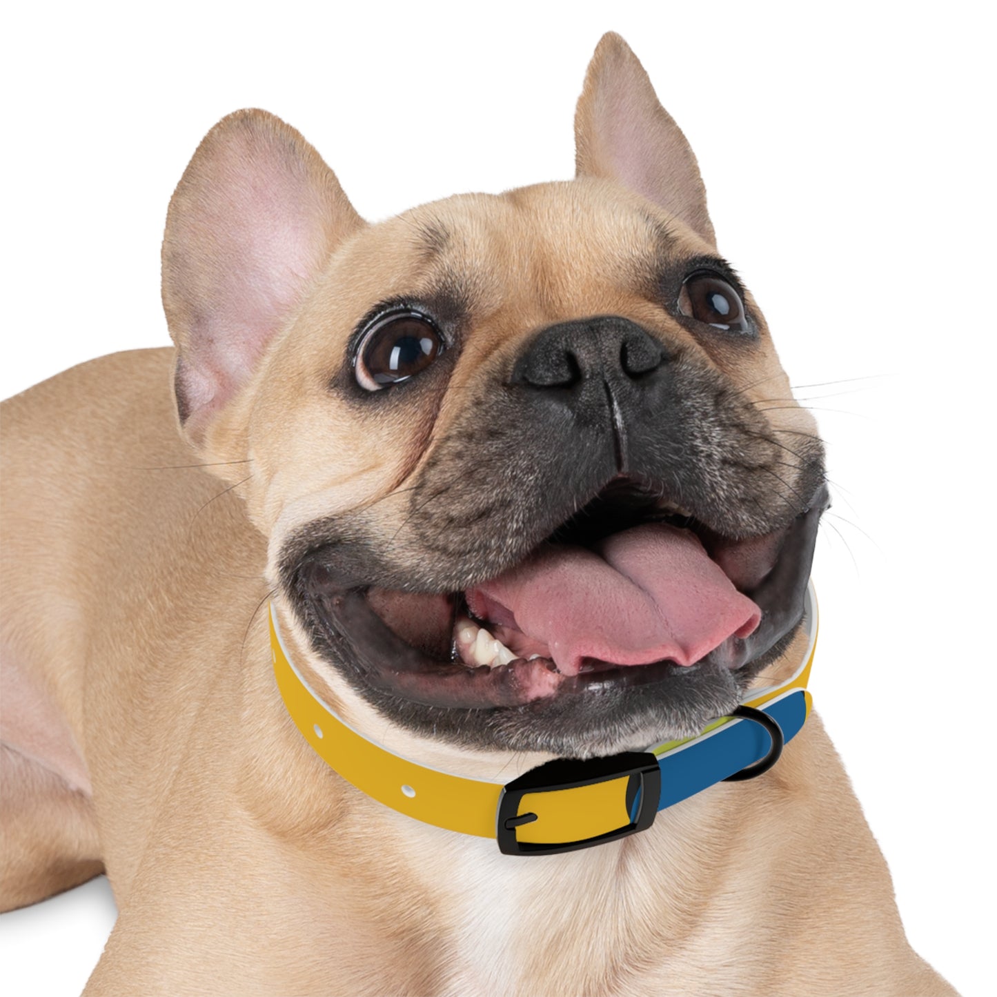 Dog Collar - 80's Retro Style Icon Collar