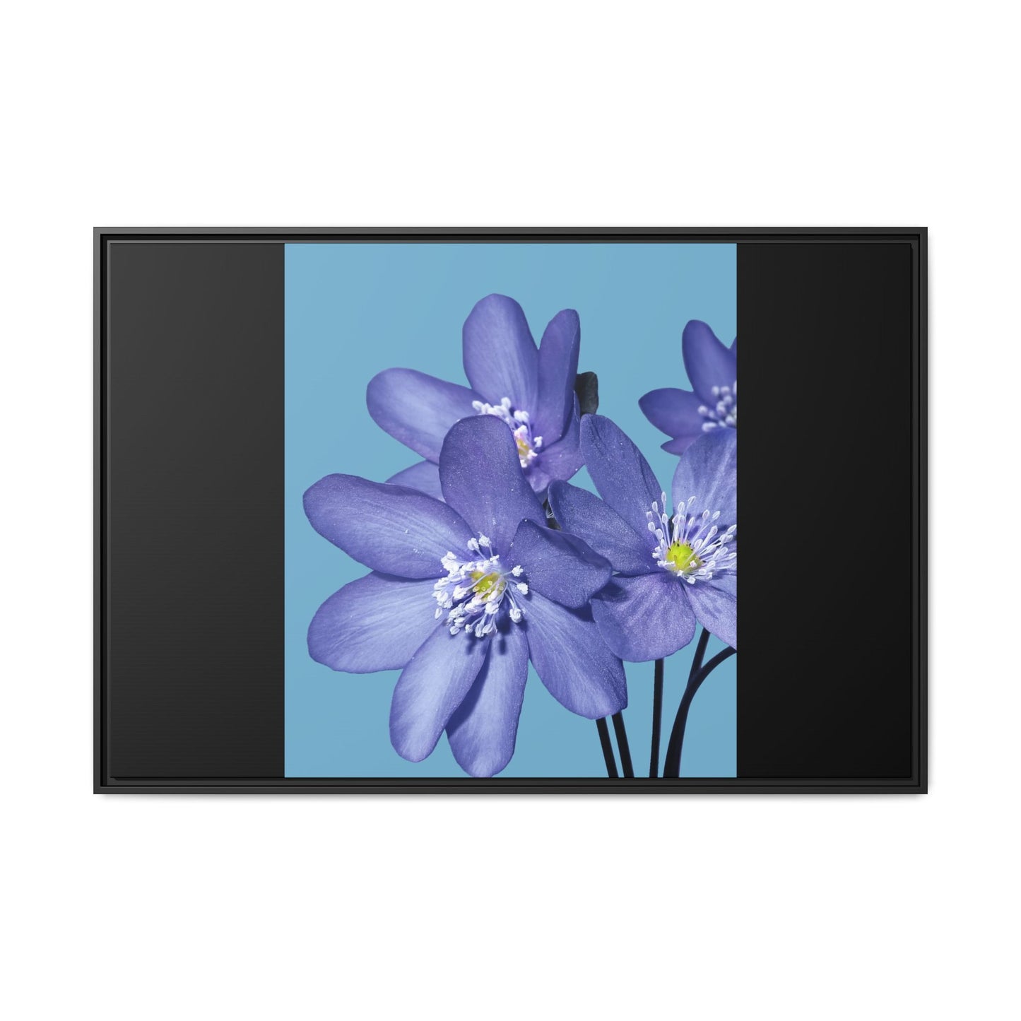 Framed Floral Canvas Art - Vibrant Blue Flower Decor