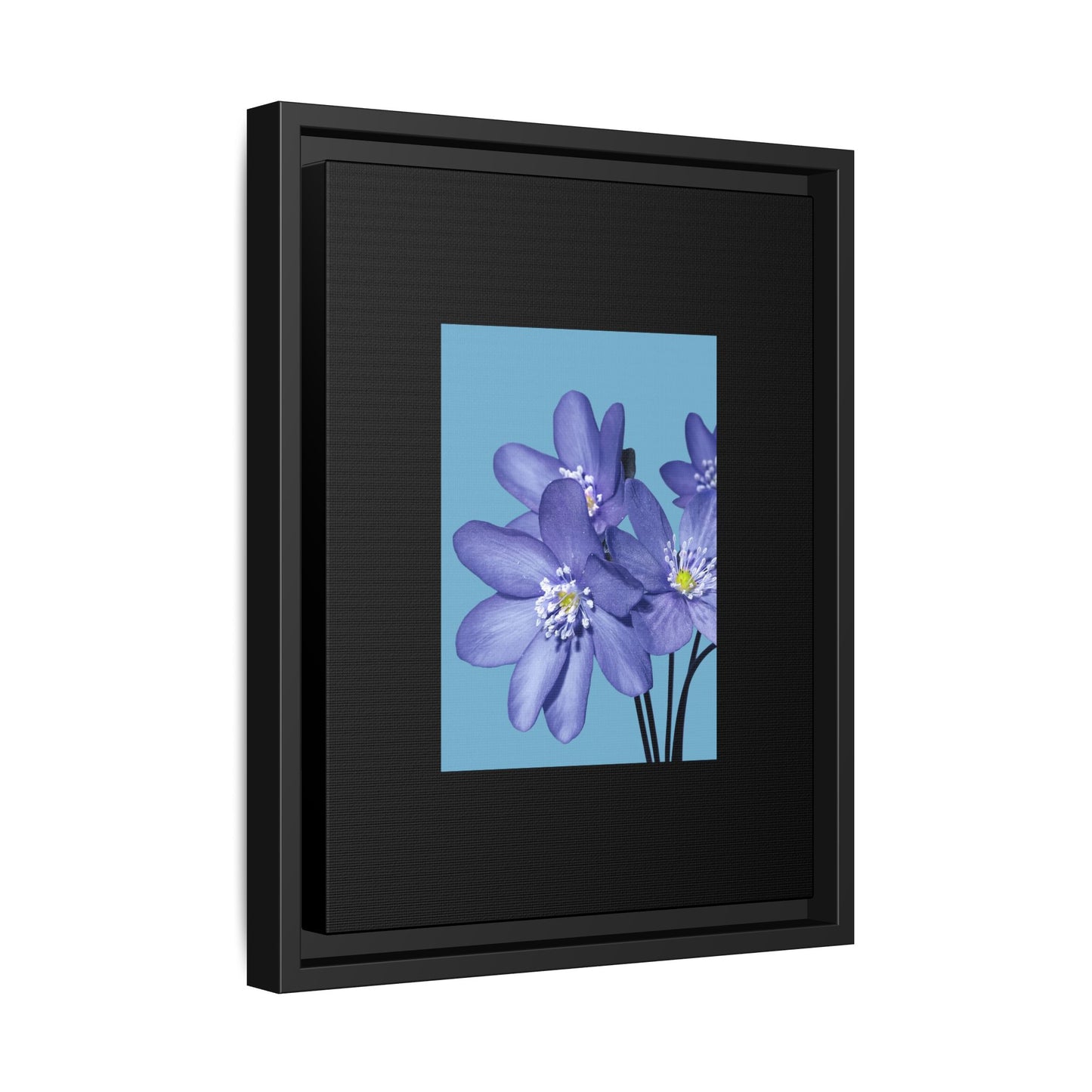 Framed Floral Canvas Art - Vibrant Blue Flower Decor