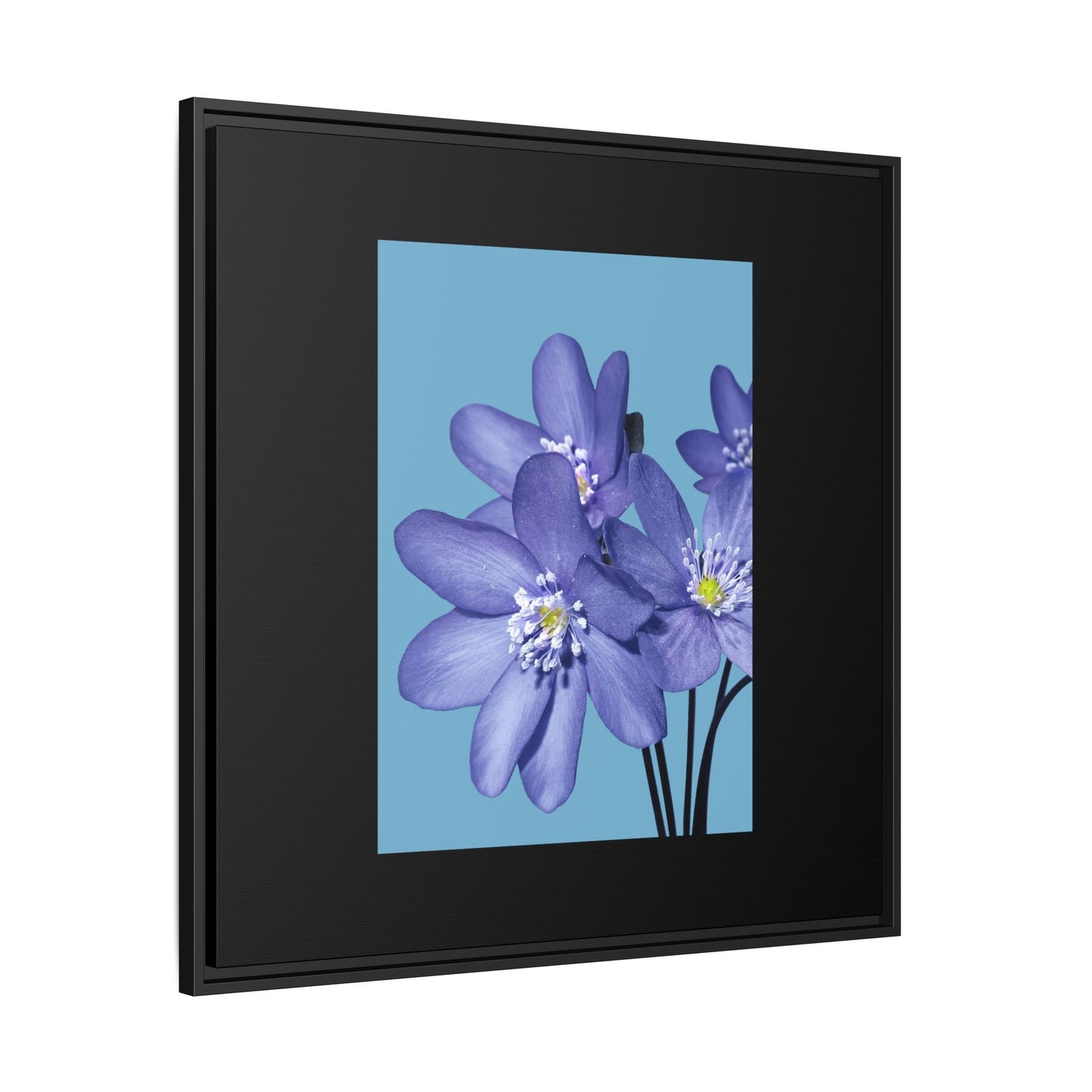 Framed Floral Canvas Art - Vibrant Blue Flower Decor