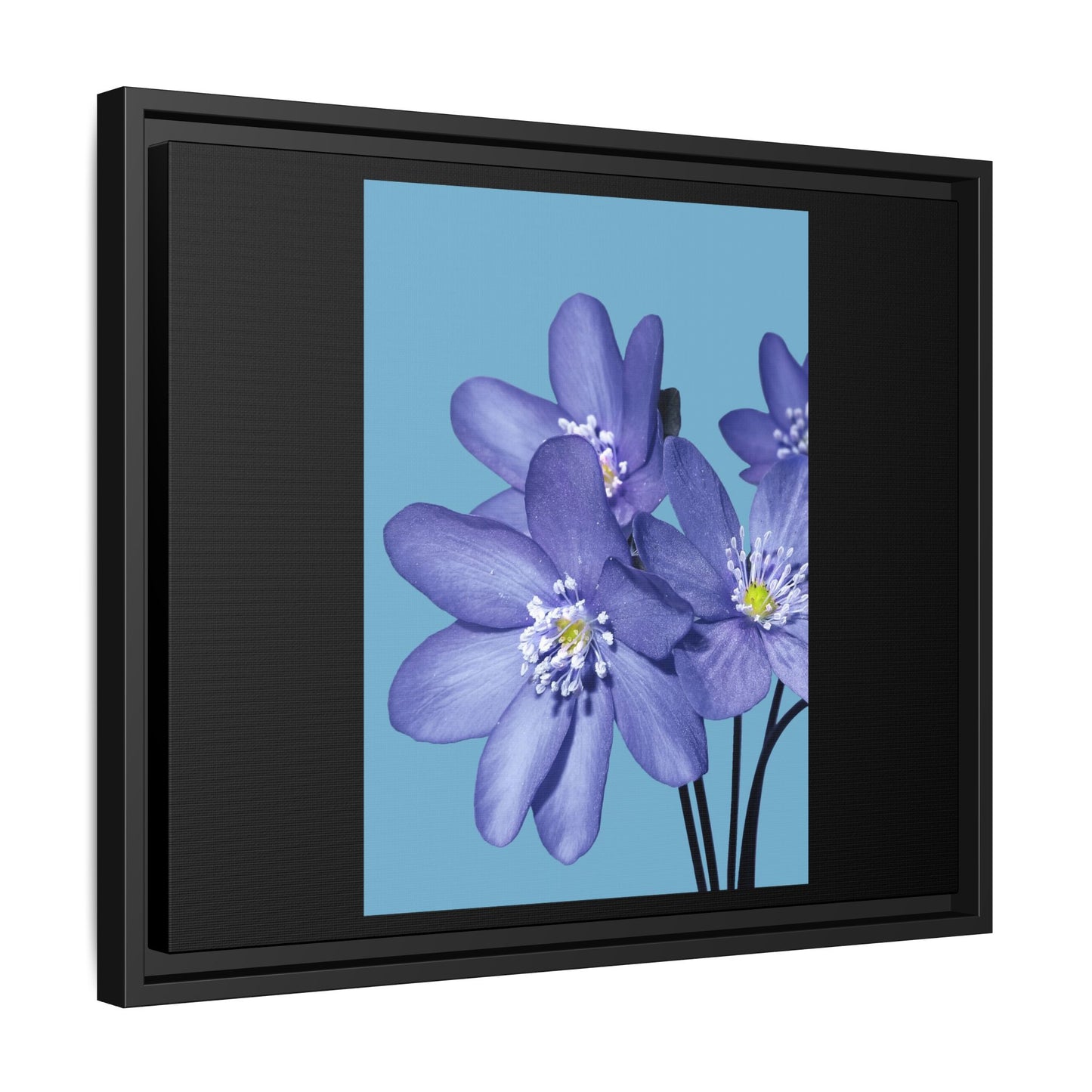 Framed Floral Canvas Art - Vibrant Blue Flower Decor