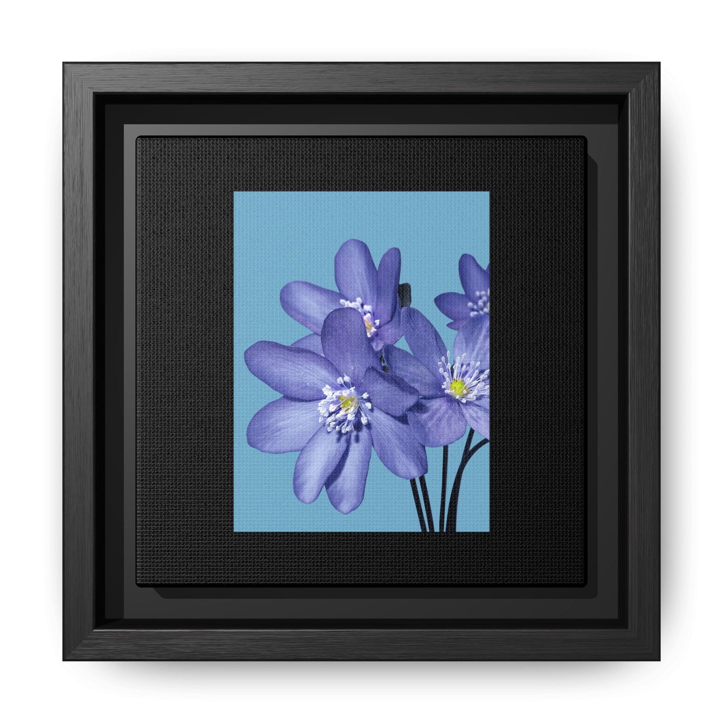 Framed Floral Canvas Art - Vibrant Blue Flower Decor