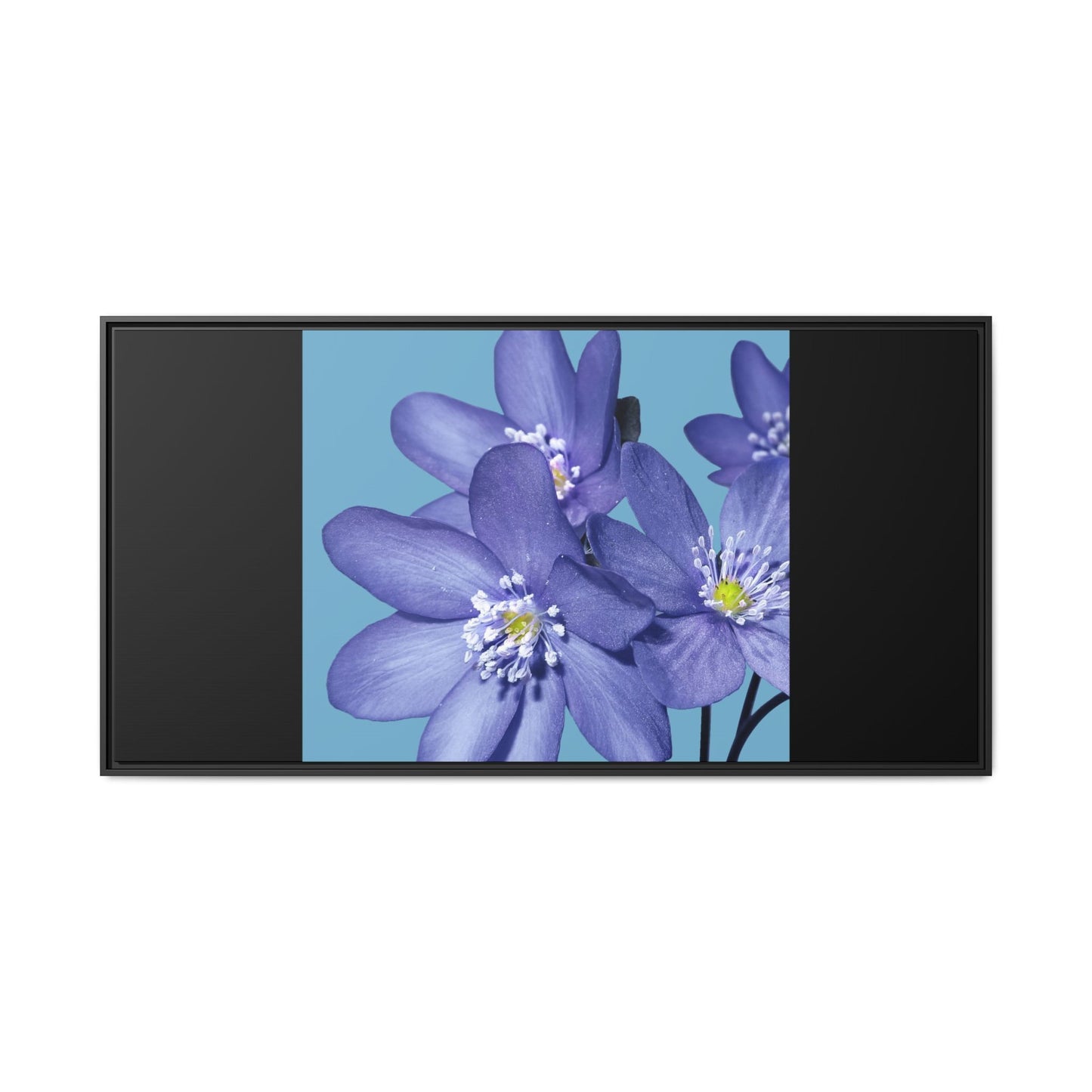 Framed Floral Canvas Art - Vibrant Blue Flower Decor