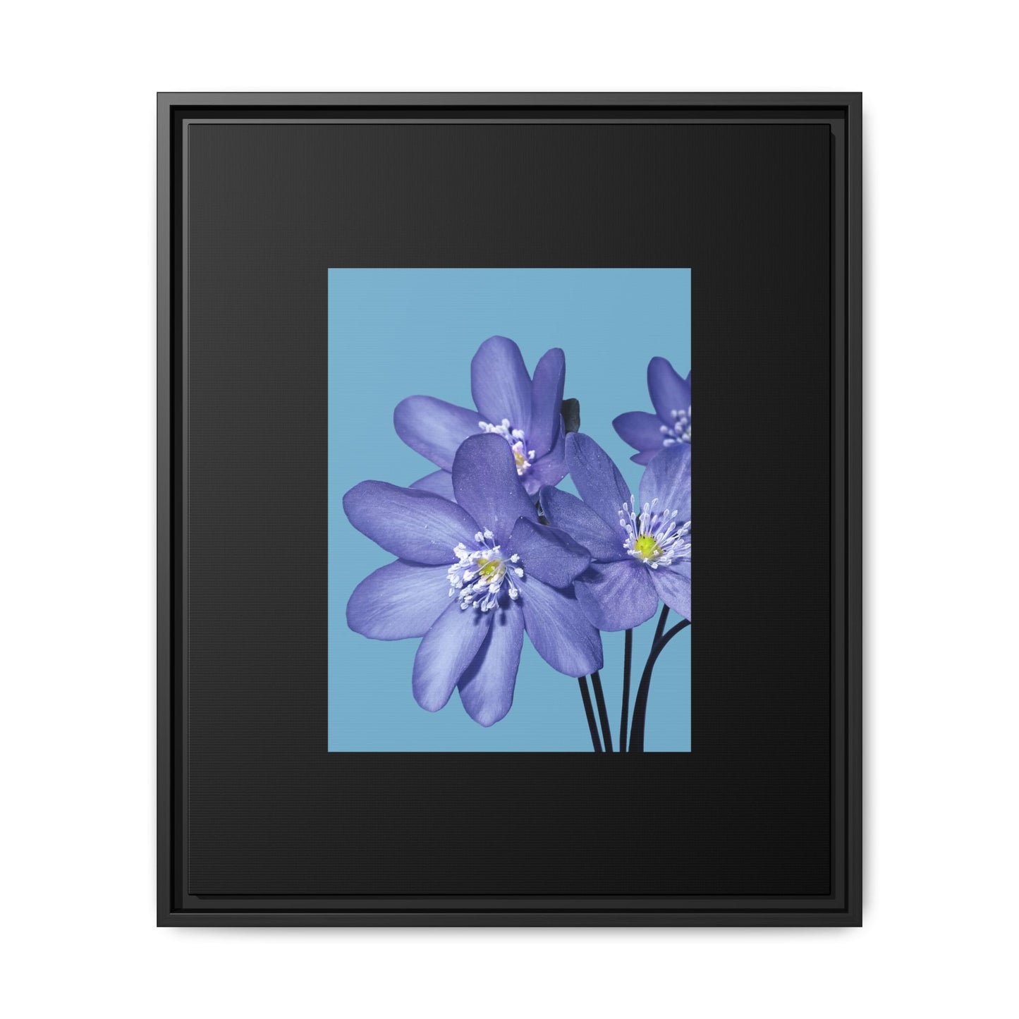Framed Floral Canvas Art - Vibrant Blue Flower Decor