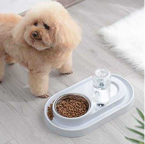 FeedMe™ Hydration & Feeding Station – Bowls with Auto Water Bottle