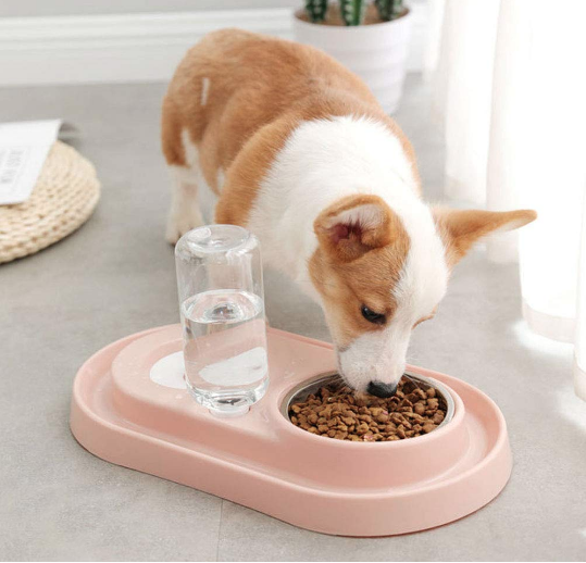 FeedMe™ Hydration & Feeding Station – Bowls with Auto Water Bottle