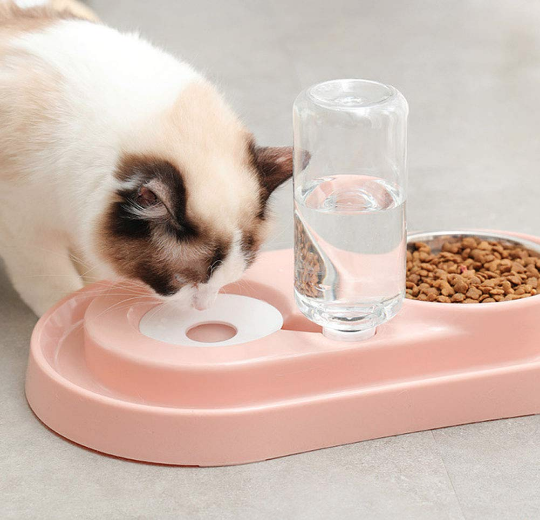 FeedMe™ Hydration & Feeding Station – Bowls with Auto Water Bottle