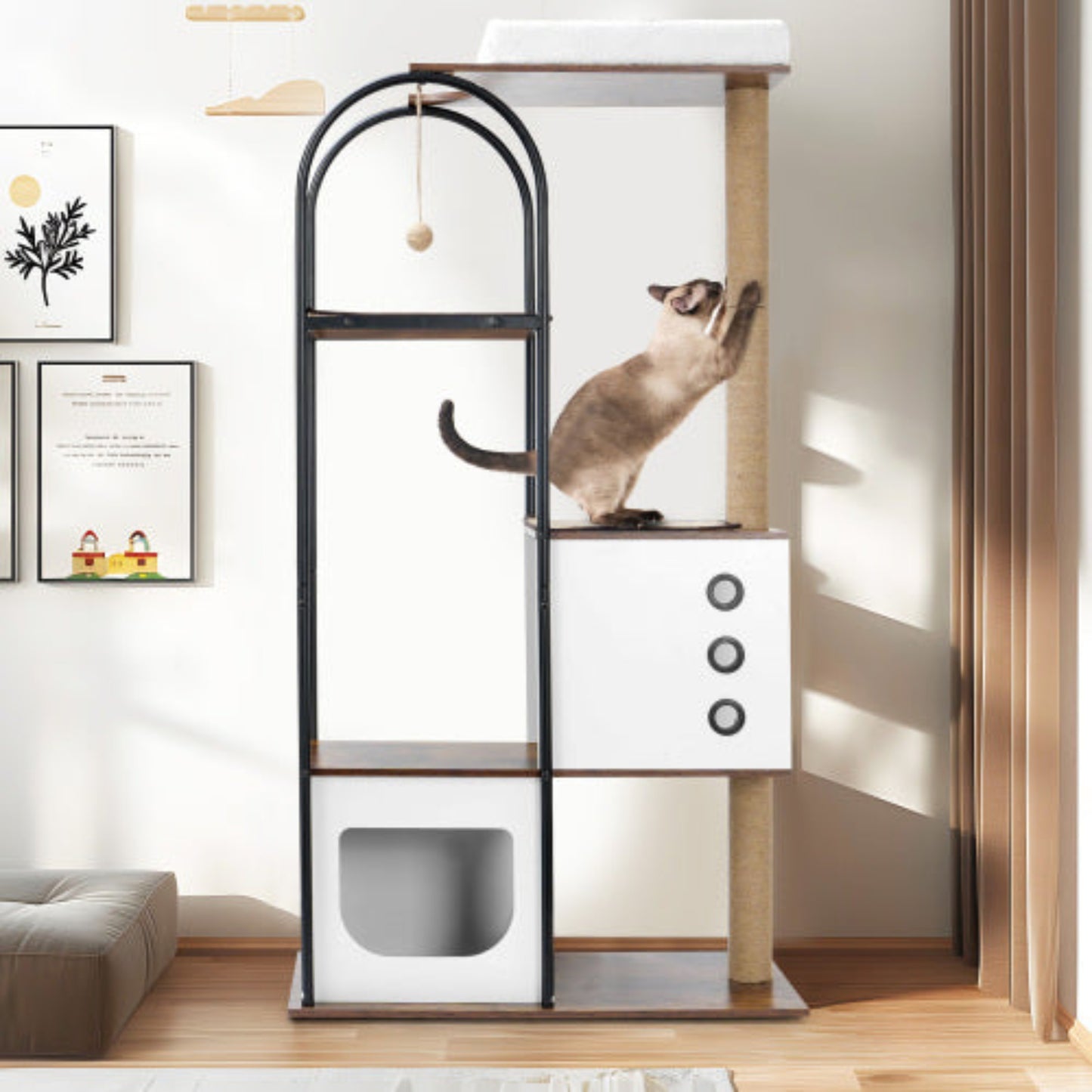 Cat climbing a multi-level cat tree with a white wall and framed pictures in the background.