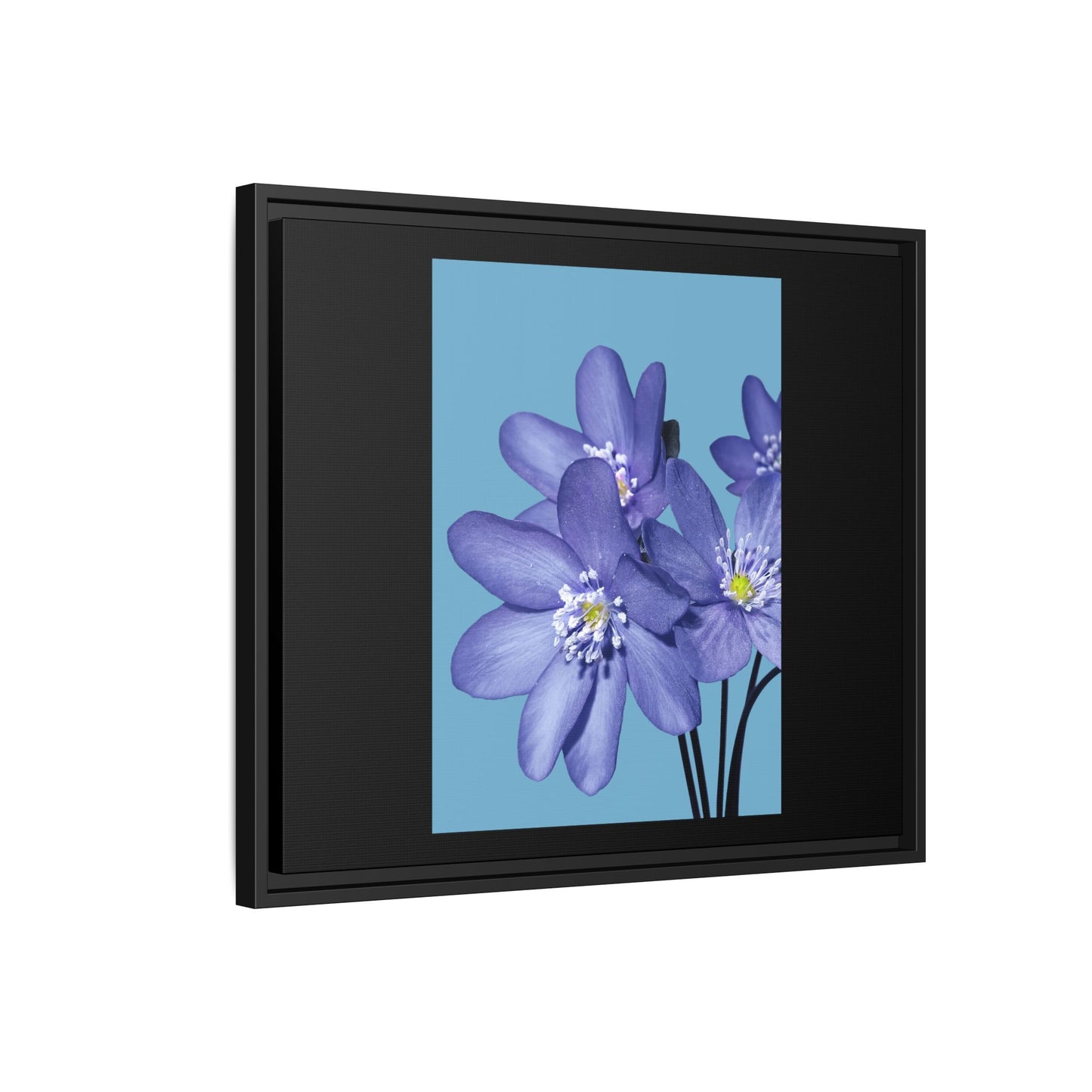Framed Floral Canvas Art - Vibrant Blue Flower Decor