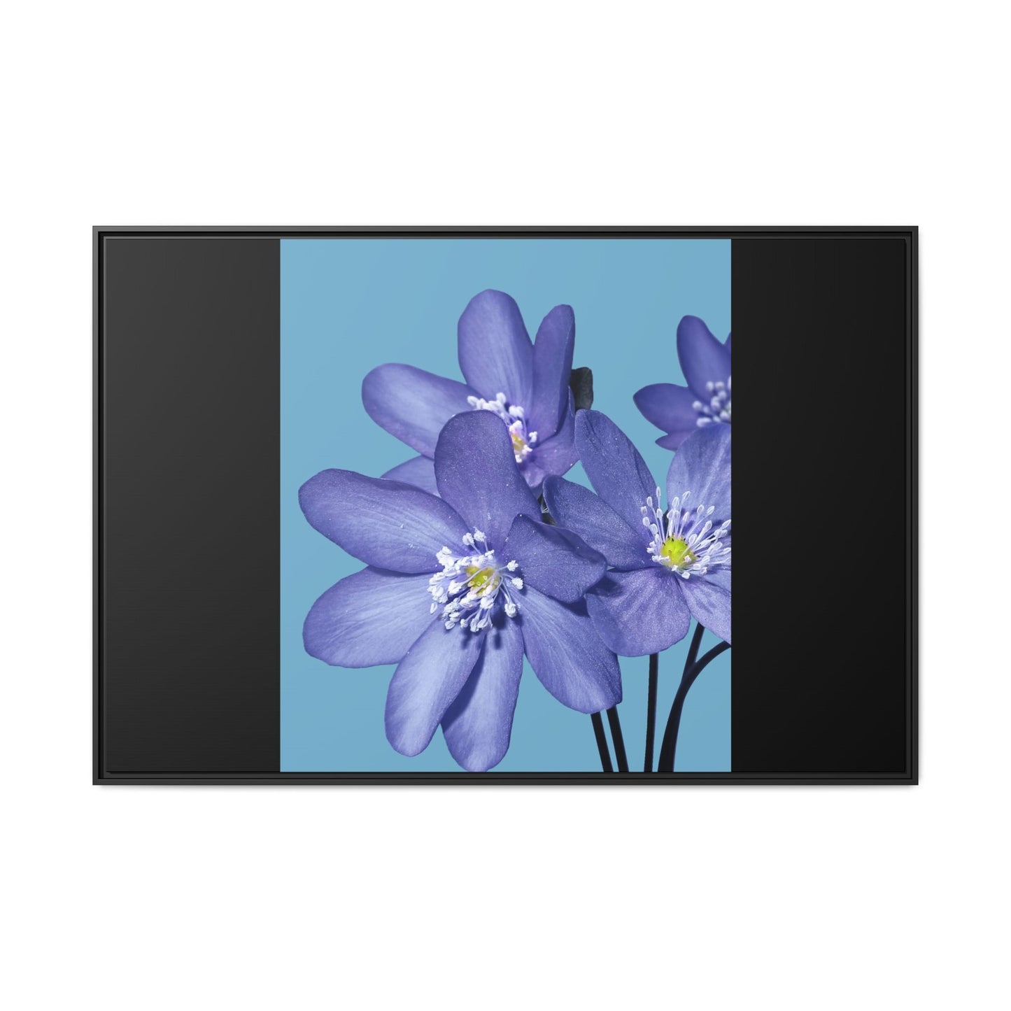 Framed Floral Canvas Art - Vibrant Blue Flower Decor