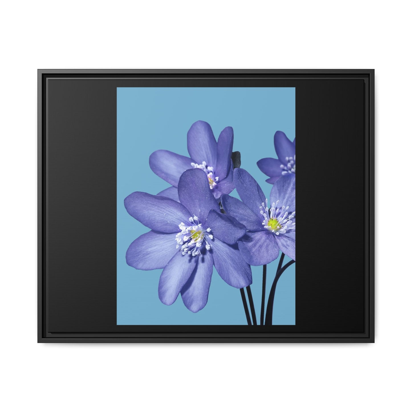 Framed Floral Canvas Art - Vibrant Blue Flower Decor