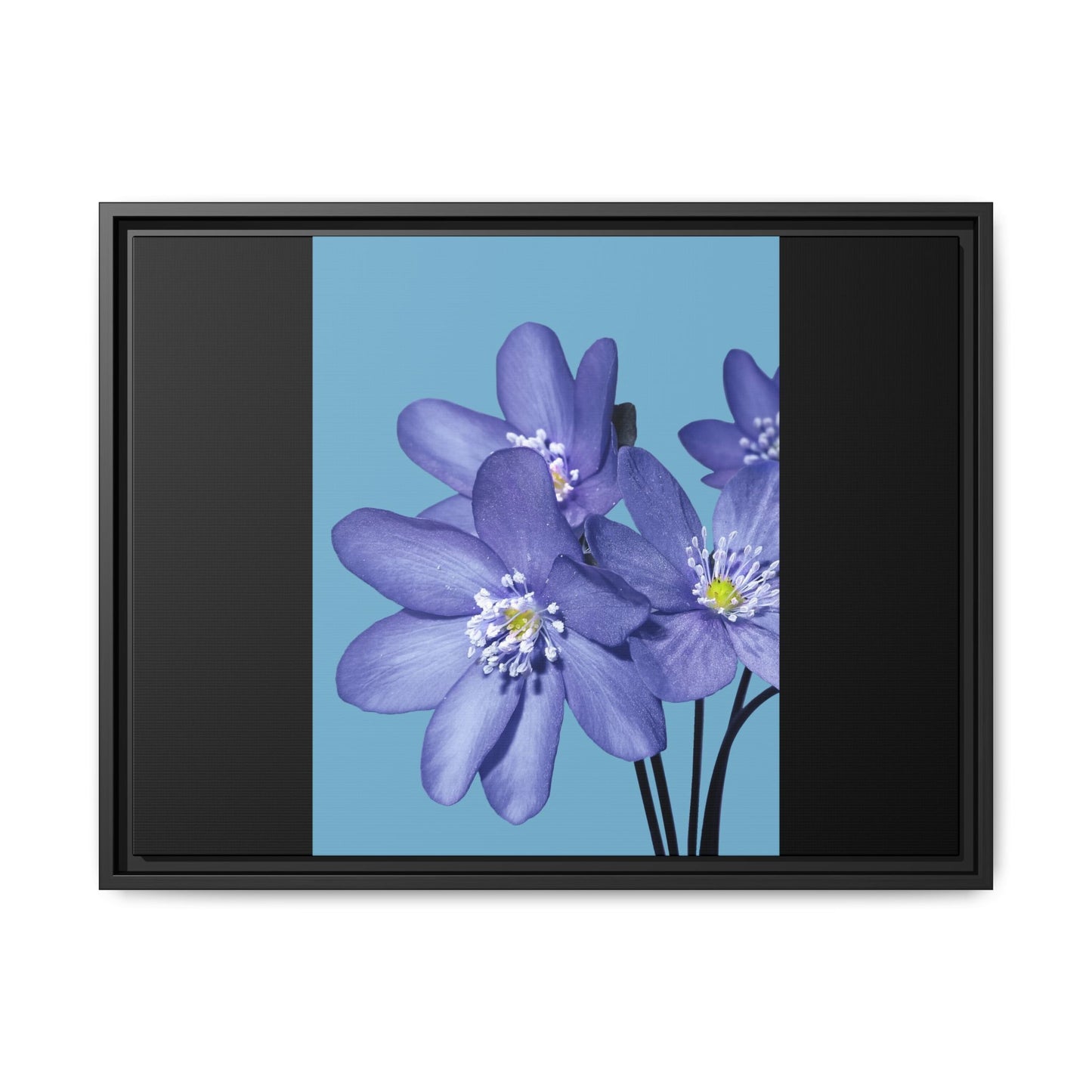 Framed Floral Canvas Art - Vibrant Blue Flower Decor