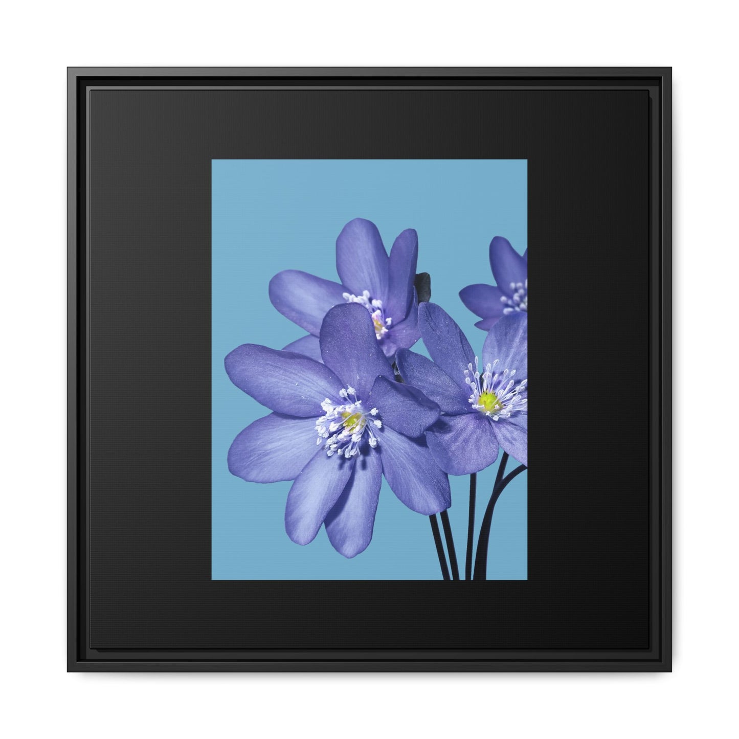 Framed Floral Canvas Art - Vibrant Blue Flower Decor