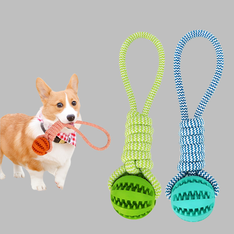 Dog holding a green rope toy with a ball, next to two additional rope toys on a white background.