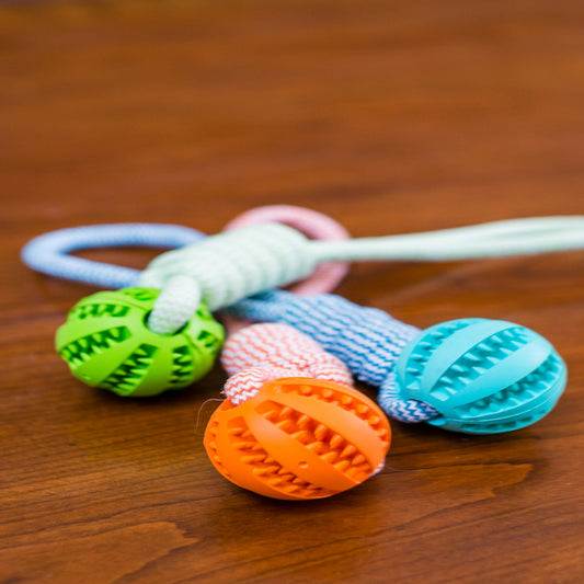Colorful dog toy with balls and a rope on a wooden surface