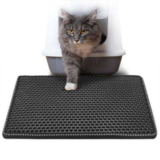 Cat standing on a black mat next to a litter box with a white background
