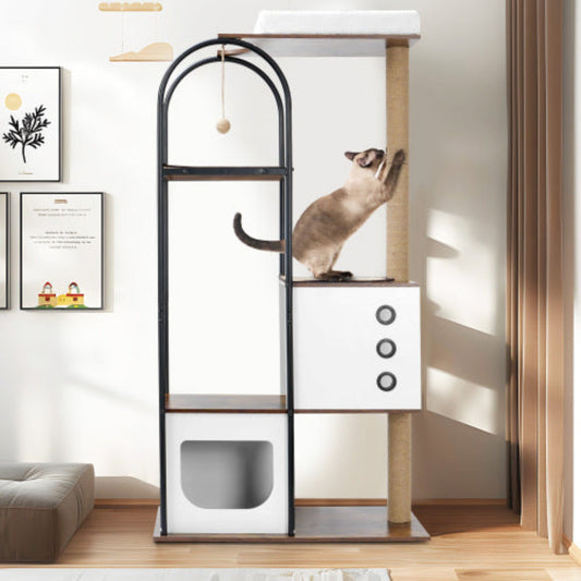 Cat climbing a multi-level cat tree with a white wall and framed pictures in the background.