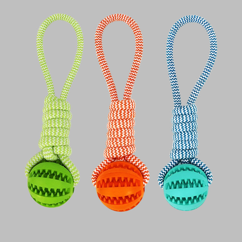 Three colorful dog toys with balls and handles on a white background