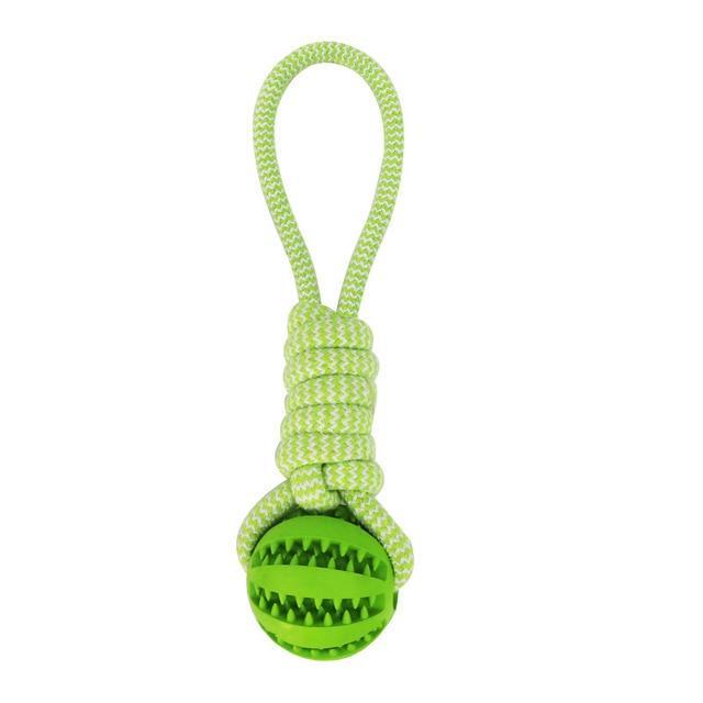 Green dog toy with a ball and rope on a white background